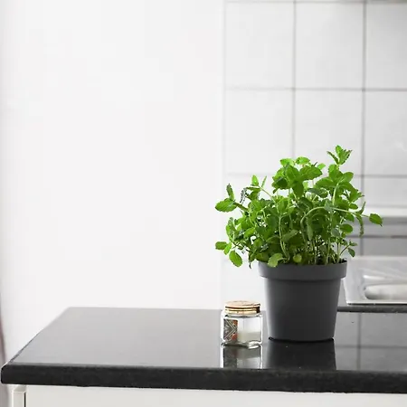 Zadar, The Florens - Near The With The New Pool & Garden, Bbq And Kids Playground