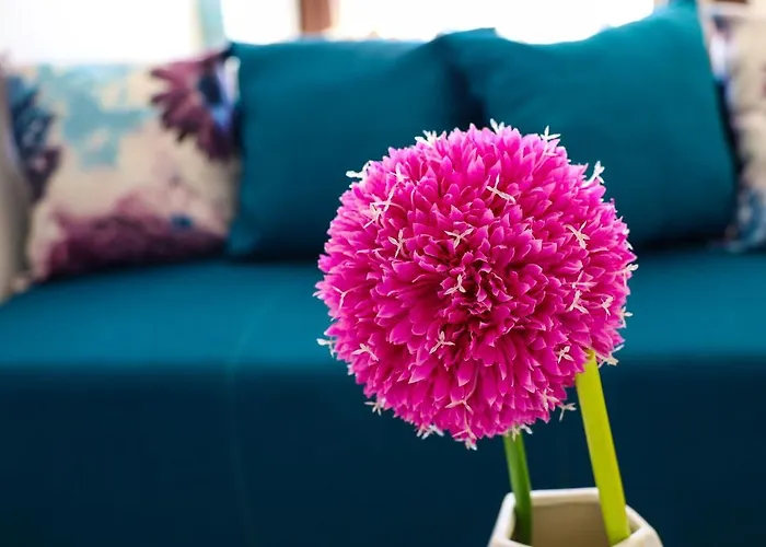 Lägenhet Zadar, The Florens - Near The With The New Pool & Garden, Bbq And Kids Playground