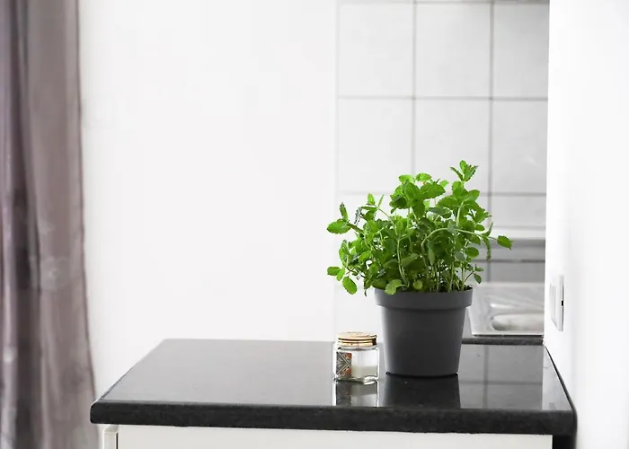 Zadar, The Florens - Near The With The New Pool & Garden, Bbq And Kids Playground