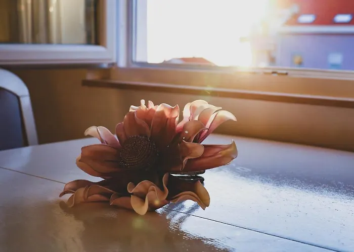 Zadar, The Florens - Near The With The New Pool & Garden, Bbq And Kids Playground Lägenhet *