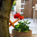 Zadar, The Florens - Near The With The New Pool & Garden, Bbq And Kids Playground