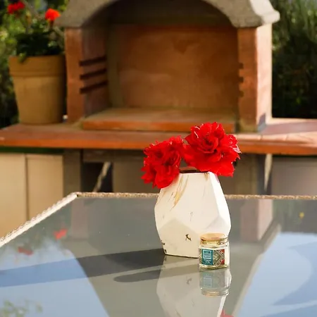 The Florens Near The With The Pool, Bbq And Kids Playground, Diklo Apartment Zadar