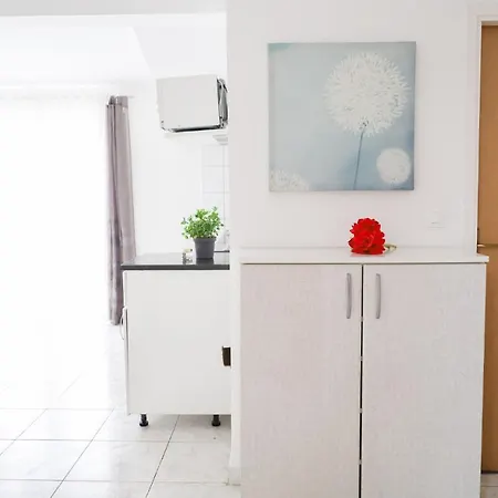 The Florens Near The With The Pool, Bbq And Kids Playground, Diklo Apartment