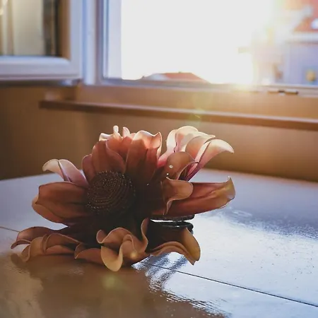 Zadar, The Florens - Near The With The New Pool & Garden, Bbq And Kids Playground Apartamento *