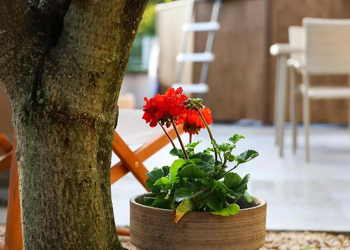 Zadar, The Florens - Near The With The New Pool & Garden, Bbq And Kids Playground